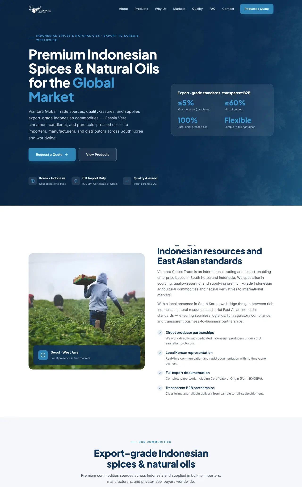Website Viantara Global Trade